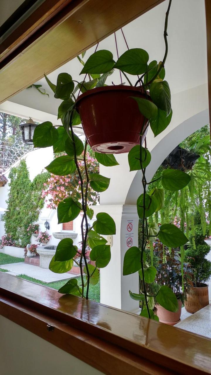 Ixkanul Antigua Hotel Экстерьер фото